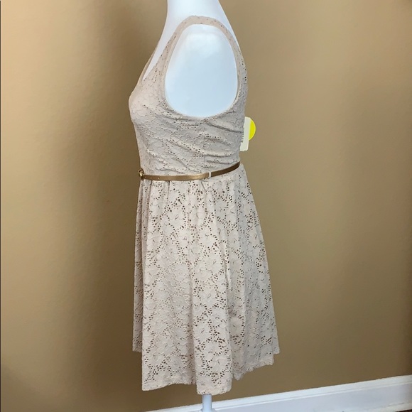 Lace Dress - Picture 3 of 5